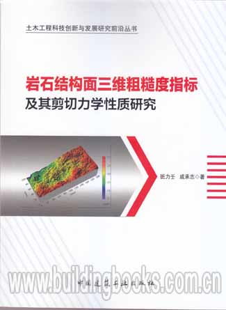 巖石結構面三維粗糙度指標及其剪切力學性質研究前沿